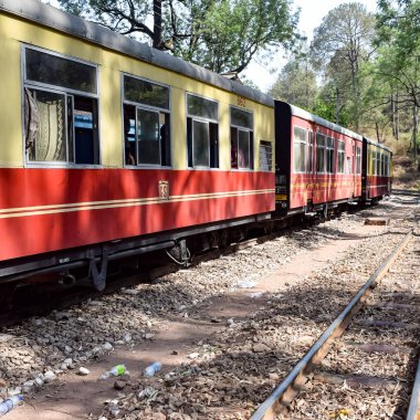 Oyuncak tren dağ yamaçlarında hareket ediyor, güzel bir manzara, bir dağ yamacı, bir vadi yamaçtan tepeye hareket ediyor, yeşil doğal ormanın arasında. Kalka 'dan Shimla' ya giden oyuncak tren Hindistan 'da.