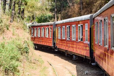 Oyuncak tren dağ yamaçlarında hareket ediyor, güzel bir manzara, bir dağ yamacı, bir vadi yamaçtan tepeye hareket ediyor, yeşil doğal ormanın arasında. Kalka 'dan Shimla' ya giden oyuncak tren Hindistan 'da.