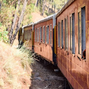 Oyuncak tren dağ yamaçlarında hareket ediyor, güzel bir manzara, bir dağ yamacı, bir vadi yamaçtan tepeye hareket ediyor, yeşil doğal ormanın arasında. Kalka 'dan Shimla' ya giden oyuncak tren Hindistan 'da.