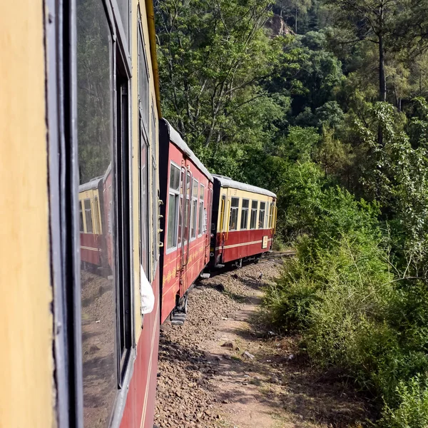 Oyuncak tren dağ yamaçlarında hareket ediyor, güzel bir manzara, bir dağ yamacı, bir vadi yamaçtan tepeye hareket ediyor, yeşil doğal ormanın arasında. Kalka 'dan Shimla' ya giden oyuncak tren Hindistan 'da.