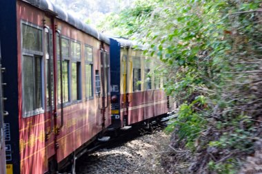 Oyuncak tren dağ yamaçlarında hareket ediyor, güzel bir manzara, bir dağ yamacı, bir vadi yamaçtan tepeye hareket ediyor, yeşil doğal ormanın arasında. Kalka 'dan Shimla' ya giden oyuncak tren Hindistan 'da.