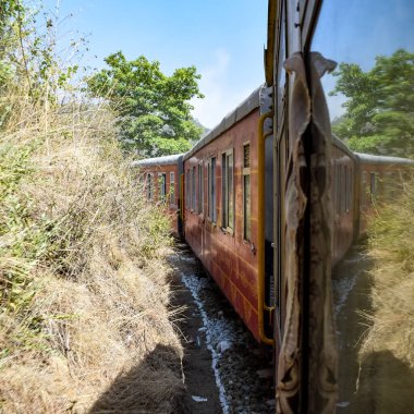 Oyuncak tren dağ yamaçlarında hareket ediyor, güzel bir manzara, bir dağ yamacı, bir vadi yamaçtan tepeye hareket ediyor, yeşil doğal ormanın arasında. Kalka 'dan Shimla' ya giden oyuncak tren Hindistan 'da.