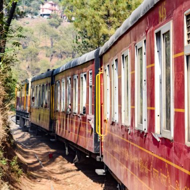 Oyuncak tren dağ yamaçlarında hareket ediyor, güzel bir manzara, bir dağ yamacı, bir vadi yamaçtan tepeye hareket ediyor, yeşil doğal ormanın arasında. Kalka 'dan Shimla' ya giden oyuncak tren Hindistan 'da.