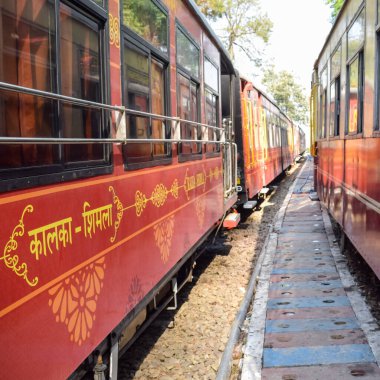Oyuncak tren dağ yamaçlarında hareket ediyor, güzel bir manzara, bir dağ yamacı, bir vadi yamaçtan tepeye hareket ediyor, yeşil doğal ormanın arasında. Kalka 'dan Shimla' ya giden oyuncak tren Hindistan 'da.