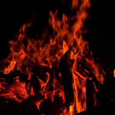 Siyah arka planda alevler, alev alev dokusu arka planda, çok güzel, ateş yanıyor, ateş odun ve inek gübresi ateşiyle yanıyor.
