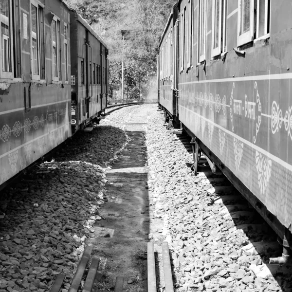 おもちゃの列車は山の斜面 美しい景色 片側の山 片側の谷は緑豊かな自然の森の中の丘に鉄道で移動します インドのカルカからシムラへのおもちゃの列車黒と白 — ストック写真