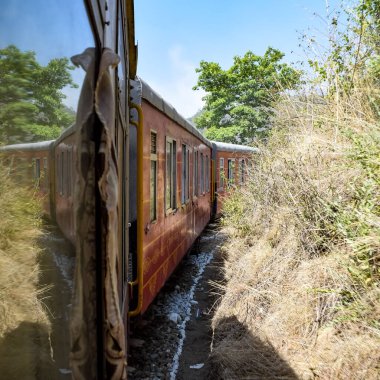 Oyuncak tren dağ yamaçlarında hareket ediyor, güzel bir manzara, bir dağ yamacı, bir vadi yamaçtan tepeye hareket ediyor, yeşil doğal ormanın arasında. Kalka 'dan Shimla' ya giden oyuncak tren Hindistan 'da.