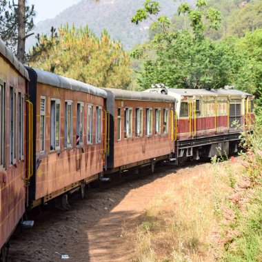 Oyuncak tren dağ yamaçlarında hareket ediyor, güzel bir manzara, bir dağ yamacı, bir vadi yamaçtan tepeye hareket ediyor, yeşil doğal ormanın arasında. Kalka 'dan Shimla' ya giden oyuncak tren Hindistan 'da.