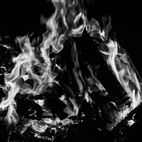黒の背景に火の炎 炎の炎のテクスチャの背景 美しいです 火が燃えています 木や牛の糞たき火で火の炎黒と白 — ストック写真