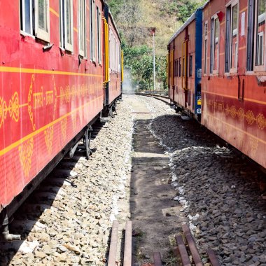 Oyuncak tren dağ yamaçlarında hareket ediyor, güzel bir manzara, bir dağ yamacı, bir vadi yamaçtan tepeye hareket ediyor, yeşil doğal ormanın arasında. Kalka 'dan Shimla' ya giden oyuncak tren Hindistan 'da.
