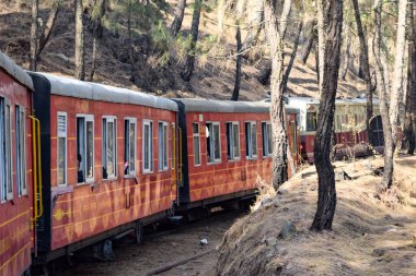 Oyuncak tren dağ yamaçlarında hareket ediyor, güzel bir manzara, bir dağ yamacı, bir vadi yamaçtan tepeye hareket ediyor, yeşil doğal ormanın arasında. Kalka 'dan Shimla' ya giden oyuncak tren Hindistan 'da.
