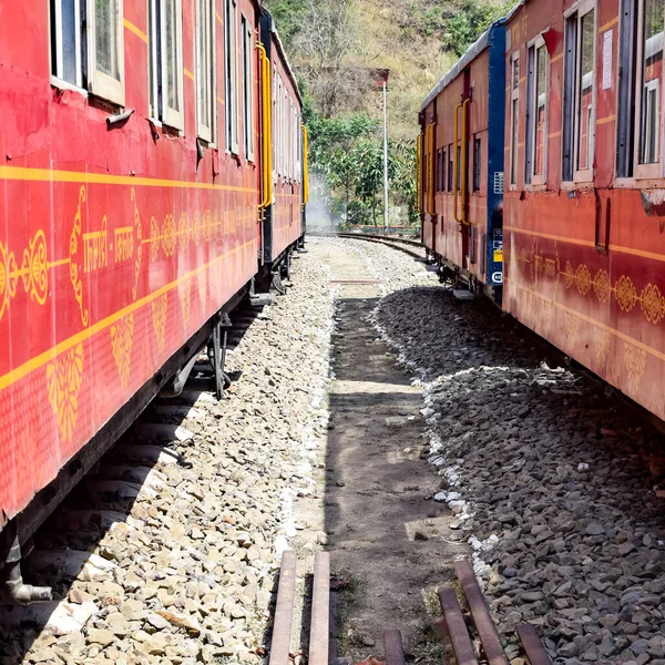 Oyuncak tren dağ yamaçlarında hareket ediyor, güzel bir manzara, bir dağ yamacı, bir vadi yamaçtan tepeye hareket ediyor, yeşil doğal ormanın arasında. Kalka 'dan Shimla' ya giden oyuncak tren Hindistan 'da.