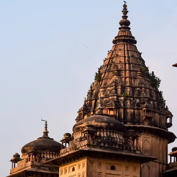 Morning View Royal Cenotaphs Chhatris Orchha Madhya Pradesh Índia Orchha — Fotografia de Stock