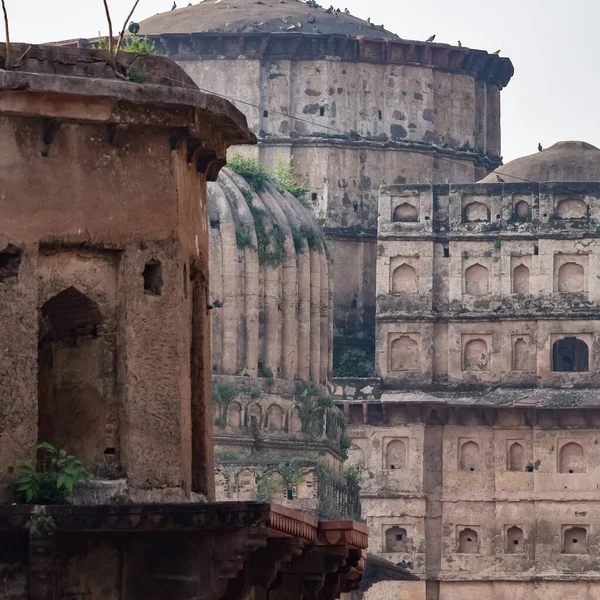 Vista Matutina Los Cenotafios Reales Chhatris Orchha Madhya Pradesh India —  Fotos de Stock