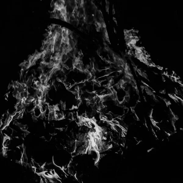 Fire flames on black background, Blaze fire flame texture background, Beautifully, the fire is burning, Fire flames with wood and cow dung bonfire Black and White