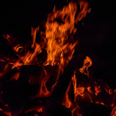 Siyah arka planda alevler, alev alev dokusu arka planda, çok güzel, ateş yanıyor, ateş odun ve inek gübresi ateşiyle yanıyor.