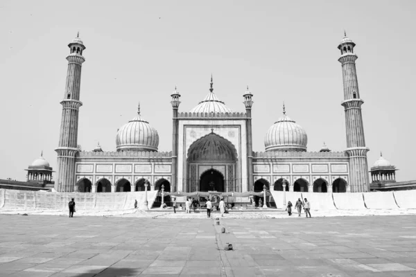 2022 델리에서 마스지드를 방문하는 미상의 관광객 마스지드는 백색에서 아마도 모스크일 — 스톡 사진