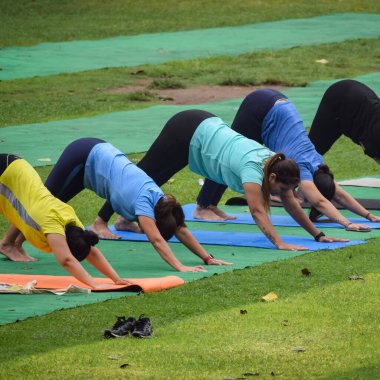 Yeni Delhi, Hindistan, 18 Haziran 2022 - Lodhi Garden 'da farklı yaşlarda insanlar için grup yoga sınıfı Surya Namaskar, Uluslararası Yoga Günü, parkta yoga dersine katılan büyük bir grup yetişkin