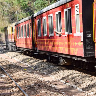 Oyuncak tren dağ yamaçlarında hareket ediyor, güzel bir manzara, bir dağ yamacı, bir vadi yamaçtan tepeye hareket ediyor, yeşil doğal ormanın arasında. Hindistan 'da Kalka' dan Shimla 'ya giden oyuncak tren, Hint treni.