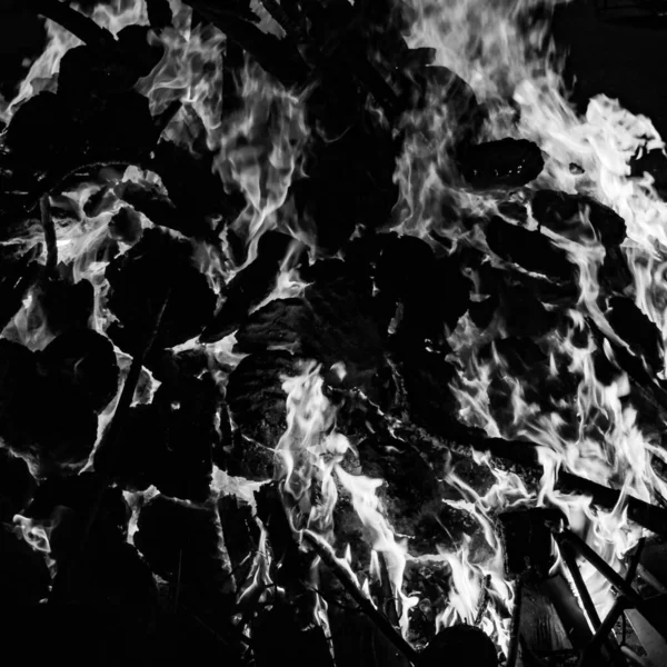 黑色背景上的火 黑色背景上的火 黑色和白色背景上的火 美丽的 燃烧着的火 木制和牛粪的火 黑色和白色篝火 — 图库照片