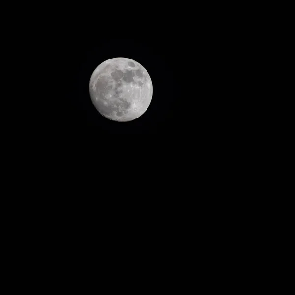 Zeitraffer Des Mondes Zeitraffer Vollmondaufgang Dunklen Nachthimmel Vollmond Scheibe Zeitraffer — Stockfoto