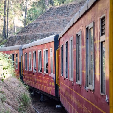 Oyuncak tren dağ yamaçlarında hareket ediyor, güzel bir manzara, bir dağ yamacı, bir vadi yamaçtan tepeye hareket ediyor, yeşil doğal ormanın arasında. Hindistan 'da Kalka' dan Shimla 'ya giden oyuncak tren, Hint treni.