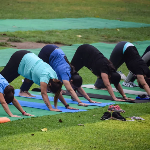 New Delhi India June 2022 Group Yoga Exercise Class Surya — Stockfoto