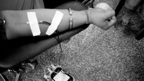 Kan Bağışı Kampındaki Kan Bağışı Kampı Her Yıl Haziran Balaji — Stok video