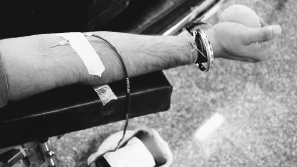 Blood Donor Blood Donation Camp Held Bouncy Ball Holding Hand — Vídeos de Stock