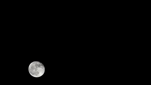 Maan Timelapse Voorraad Tijd Verval Volle Maan Opkomst Donkere Natuur — Stockvideo