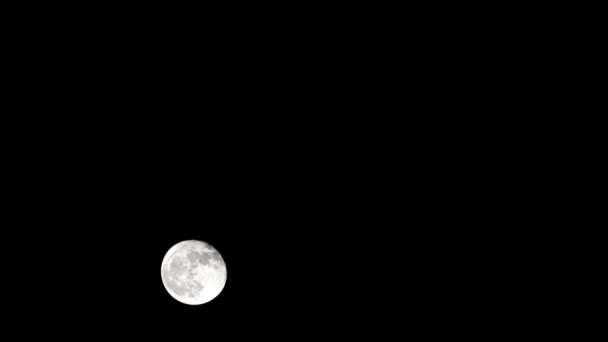 月亮时间流逝 股票时间流逝 满月升起在黑暗的自然天空 夜晚的时间 在漆黑的夜空中 满月的圆盘时间随着月光的照射而消逝 高质量的免费录像或时间间隔 — 图库视频影像