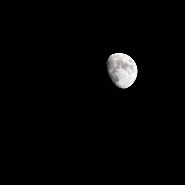 ムーンタイムラプス 株式時間の経過 暗い自然の空で満月の上昇 夜の時間 暗い夜空に満月の光で満月のディスクの時間の経過 高品質のフリービデオ映像やタイムラプス — ストック写真