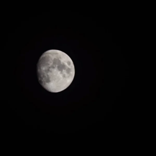 Moon Timelapse, Stock time lapse : Full moon rise in dark nature sky, night time. Full moon disk time lapse with moon light up in night dark black sky. High-quality free video footage or timelapse