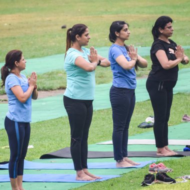 Yeni Delhi, Hindistan, 18 Haziran 2022 - Lodhi Garden 'da farklı yaşlarda insanlar için grup yoga sınıfı Surya Namaskar, Uluslararası Yoga Günü, parkta yoga dersine katılan büyük bir grup yetişkin