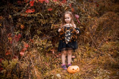 Cadı gibi giyinmiş küçük kız eğleniyor. Çocuk şakası mı şeker mi? Balkabağı fenerli çocuk..