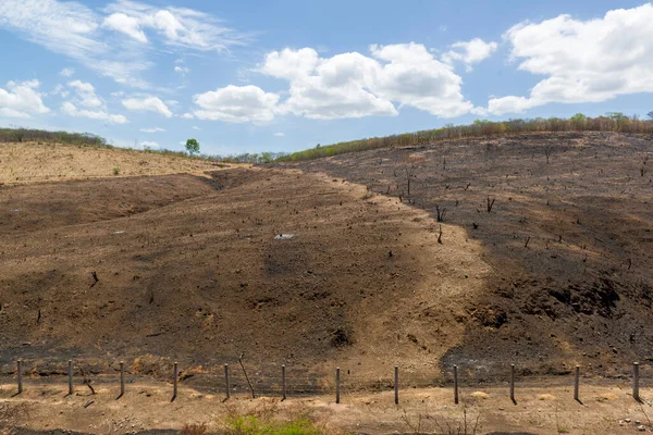 Membakar Deforestasi Bioma Caatinga Brasil Barro Ceara Brasil Pada Tanggal — Stok Foto