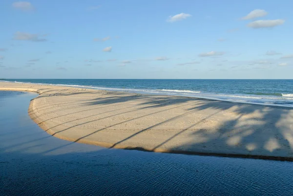 Pantai Yang Indah Conde Dekat Joao Pessoa Paraiba Brasil Pada — Stok Foto