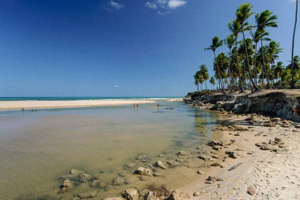 Pantai Yang Indah Conde Dekat Joao Pessoa Paraiba Brasil Pada — Stok Foto