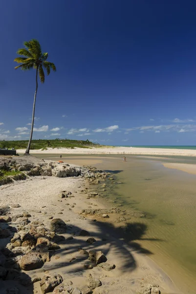 Красивый Пляж Конде Рядом Joao Pessoa Парайба Бразилия Февраля 2007 — стоковое фото