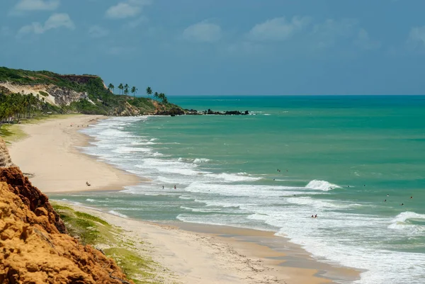 Krásná Pláž Conde Blízkosti Joao Pessoa Paraiba Brazílie Února 2007 — Stock fotografie