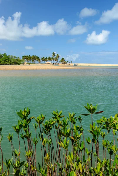 Nisan 2007 Joao Pessoa Paraiba Yakınlarındaki Barra Camaratuba Plajı Nda — Stok fotoğraf