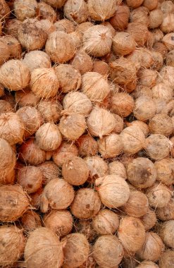 Endüstriyel işlem için kuru hindistan cevizleri.