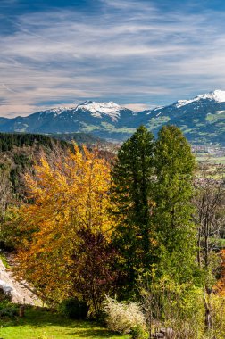 18 Ekim 2012 'de Avusturya' nın Innsbruck şehrinde Alp manzarası. Ağaçlar ve dağlar.