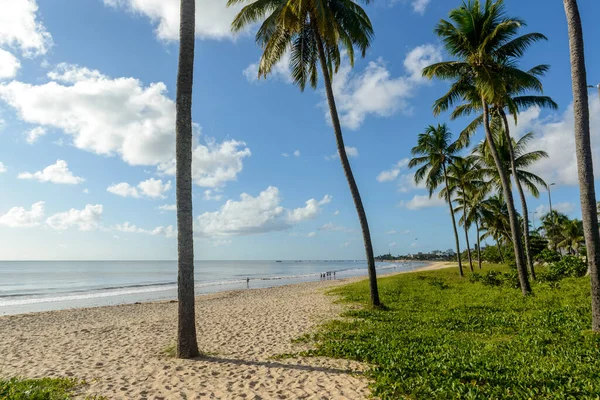 Joao Pessoa Paraiba Brasil Pada Mei 2021 Pantai Manaira Dengan — Stok Foto