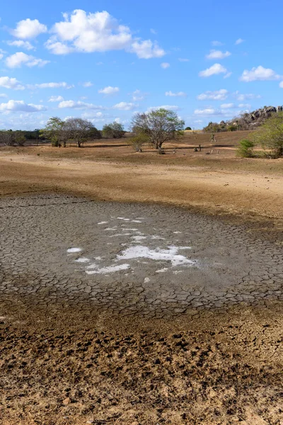 Danau Kering Dan Retak Akibat Kekeringan Paraiba Brasil Perubahan Iklim — Stok Foto