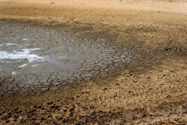 Dry Cracked Lake Caused Drought Paraiba Brazil Climate Change Water — Stock Photo, Image