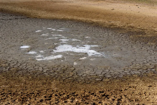 브라질 에서의 가뭄으로 건조하고 갈라진 호수가 생겨났다 기후의 변화와 — 스톡 사진