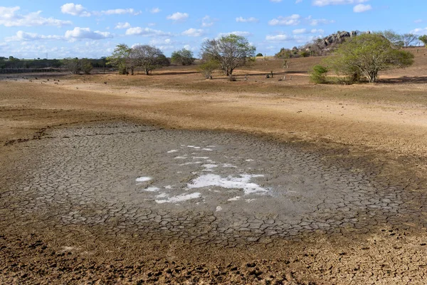 Danau Kering Dan Retak Akibat Kekeringan Paraiba Brasil Perubahan Iklim Stok Gambar