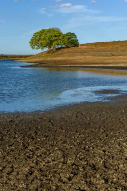 Brezilya, Paraiba 'da kuraklığın yol açtığı kuru ve çatlak zemin. İklim değişikliği ve su krizi.
