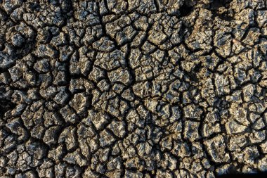 Brezilya, Paraiba 'da kuraklığın yol açtığı kuru ve çatlak zemin. İklim değişikliği ve su krizi.